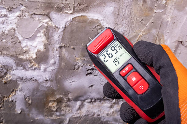 Best Best Mold Removal Companies  in Morrow, OH
